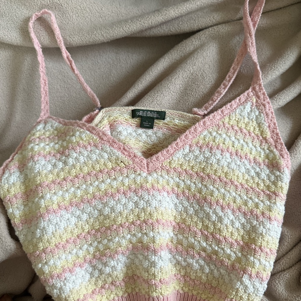 wild fable crop top